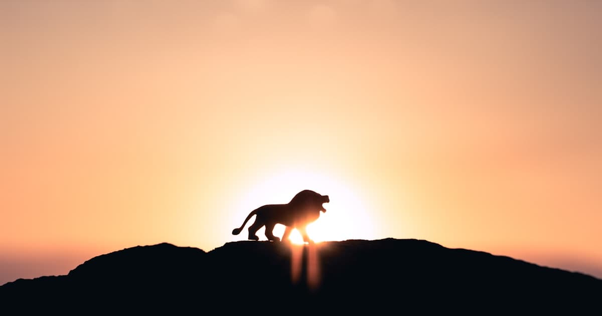 Leo Personality Traits: The Complete Guide to This Bold Sign