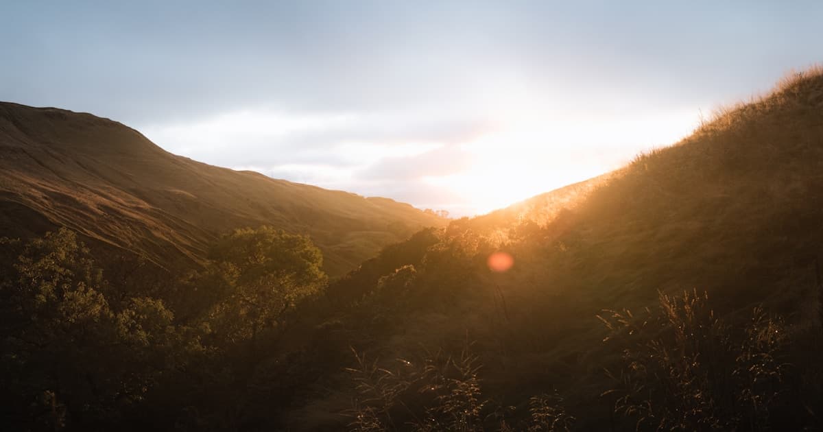 What Is the Significance of Your Sun Sign in Astrology?