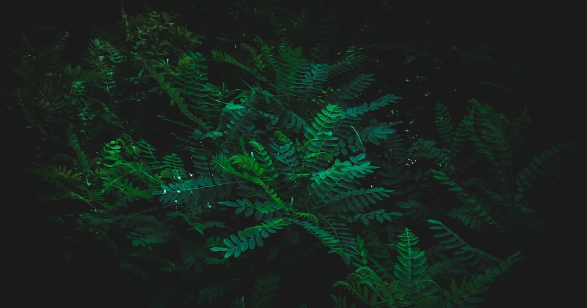 Taurus Personality Traits: The Complete Guide to This Grounded Sign